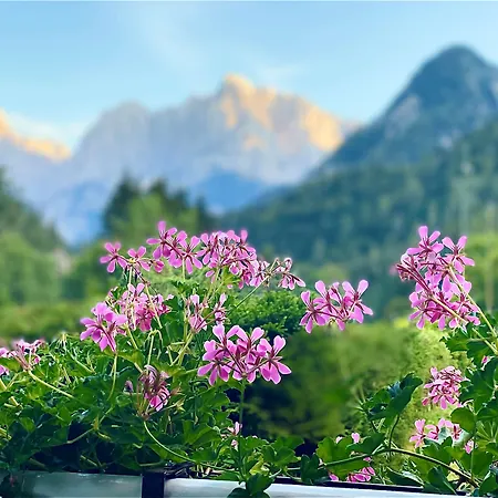 Hotel Kranjska Gora Отель Краньска Гора