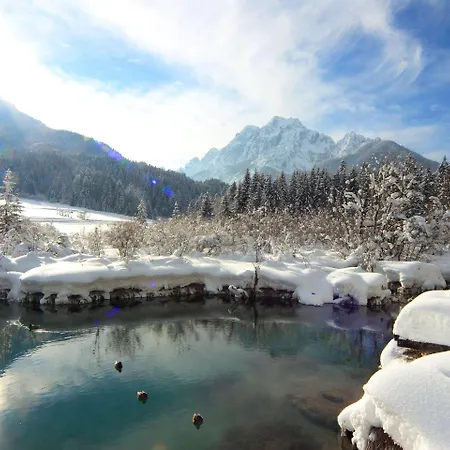 ホテル Hotel Kranjska Gora クランスカゴーラ