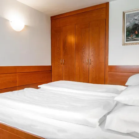 Hotel Kranjska Gora 4* クランスカゴーラ
