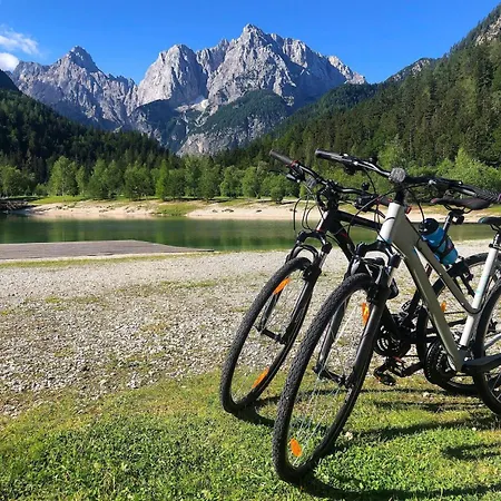 Отель Hotel Kranjska Gora