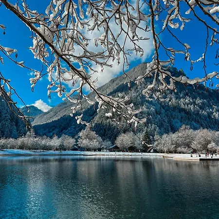 Отель Hotel Kranjska Gora Краньска Гора