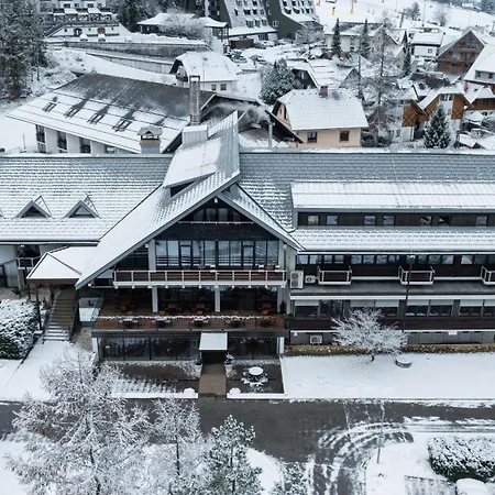 Отель Hotel Kranjska Gora 4*