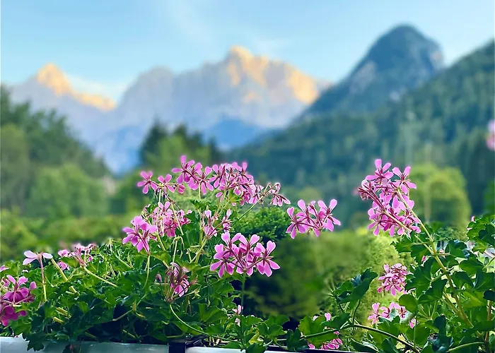 Hotel Kranjska Gora Hotel Kranjska Gora