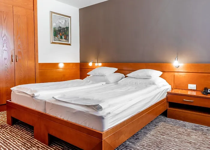 Hotel Kranjska Gora 4*